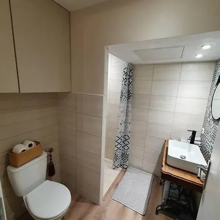 Charmant Appartement Au Calme Saint-Romain-la-Motte Buitenkant foto